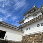 Thumbnail of post image 054