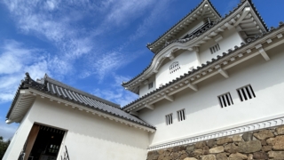 Thumbnail of post image 138