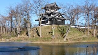 Thumbnail of post image 179