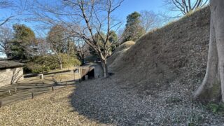 Thumbnail of post image 099