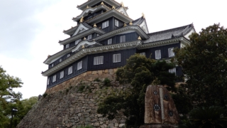 Thumbnail of post image 088