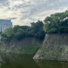 Thumbnail of related posts 136