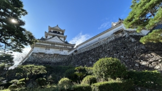 Thumbnail of post image 115