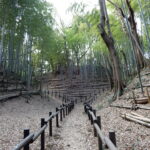 Thumbnail of related posts 070