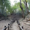Thumbnail of related posts 128
