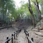 Thumbnail of post image 176