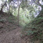 Thumbnail of related posts 182