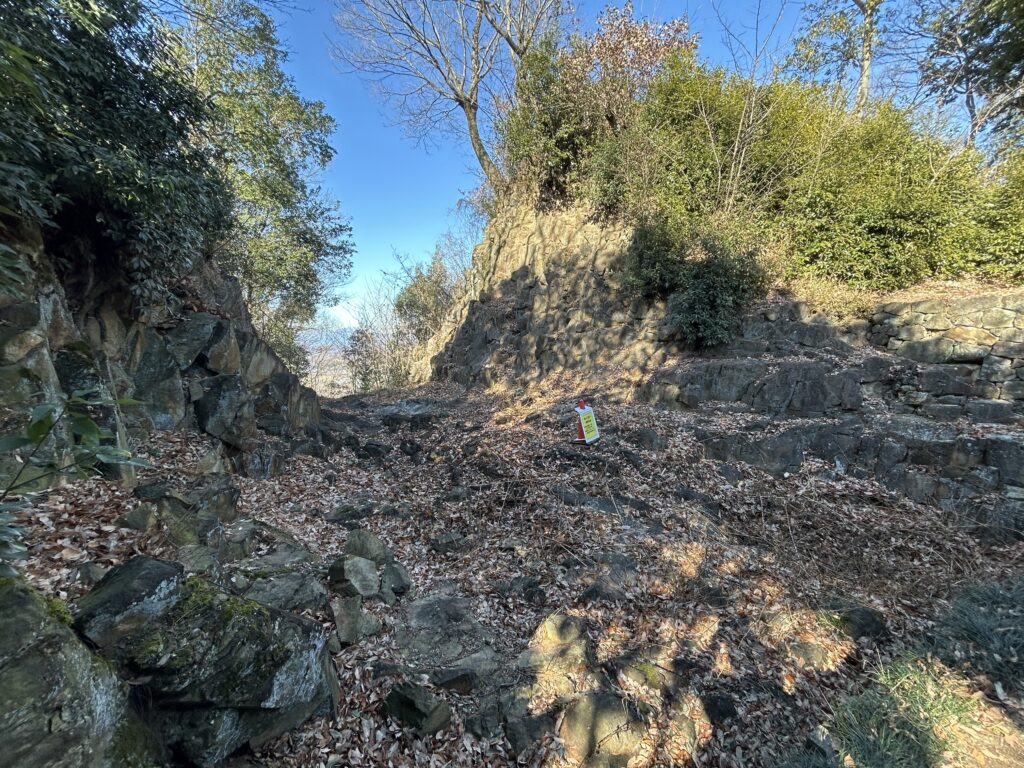 群馬県の金山城 城めぐり