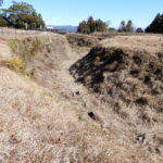Thumbnail of post image 022