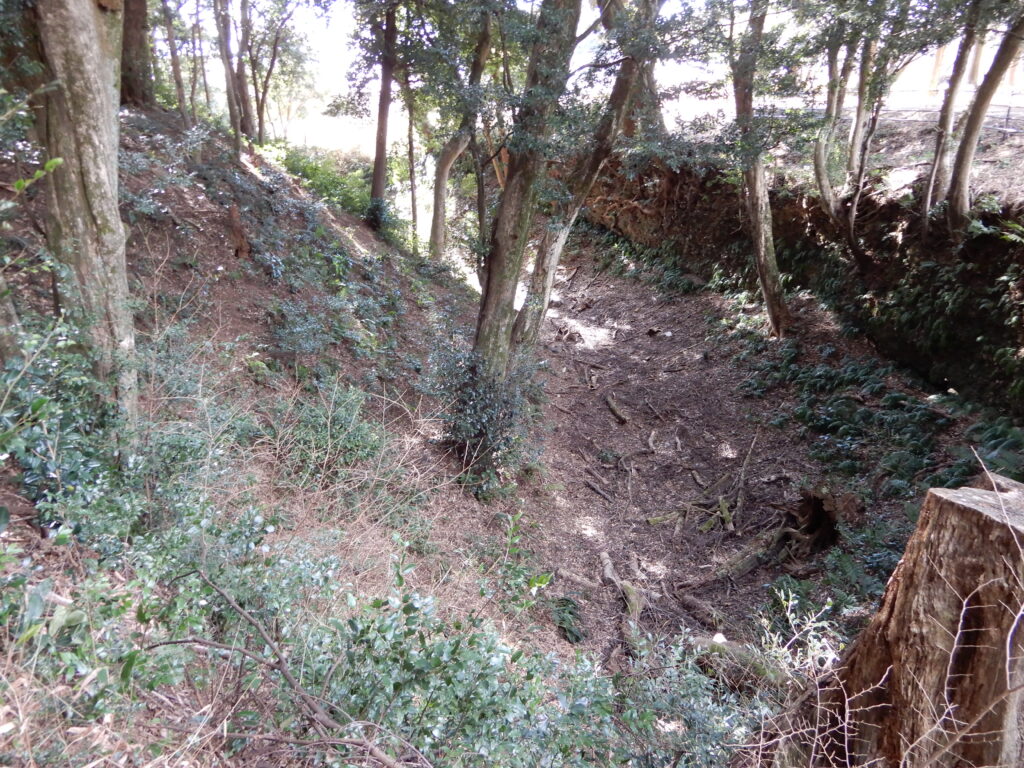 諏訪原城の空堀