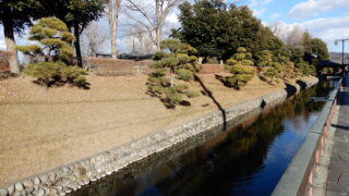 Thumbnail of post image 131