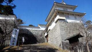 Thumbnail of post image 175