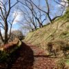 Thumbnail of related posts 136