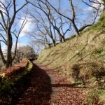 Thumbnail of related posts 150