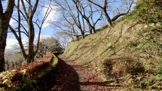 Thumbnail of post image 032
