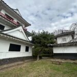 Thumbnail of related posts 045