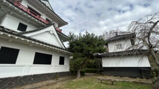 Thumbnail of post image 021