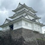 Thumbnail of related posts 129