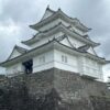 Thumbnail of related posts 165