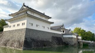 Thumbnail of post image 103