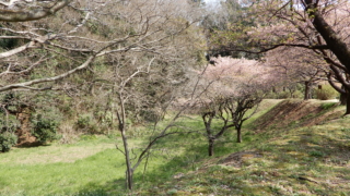 Thumbnail of post image 084