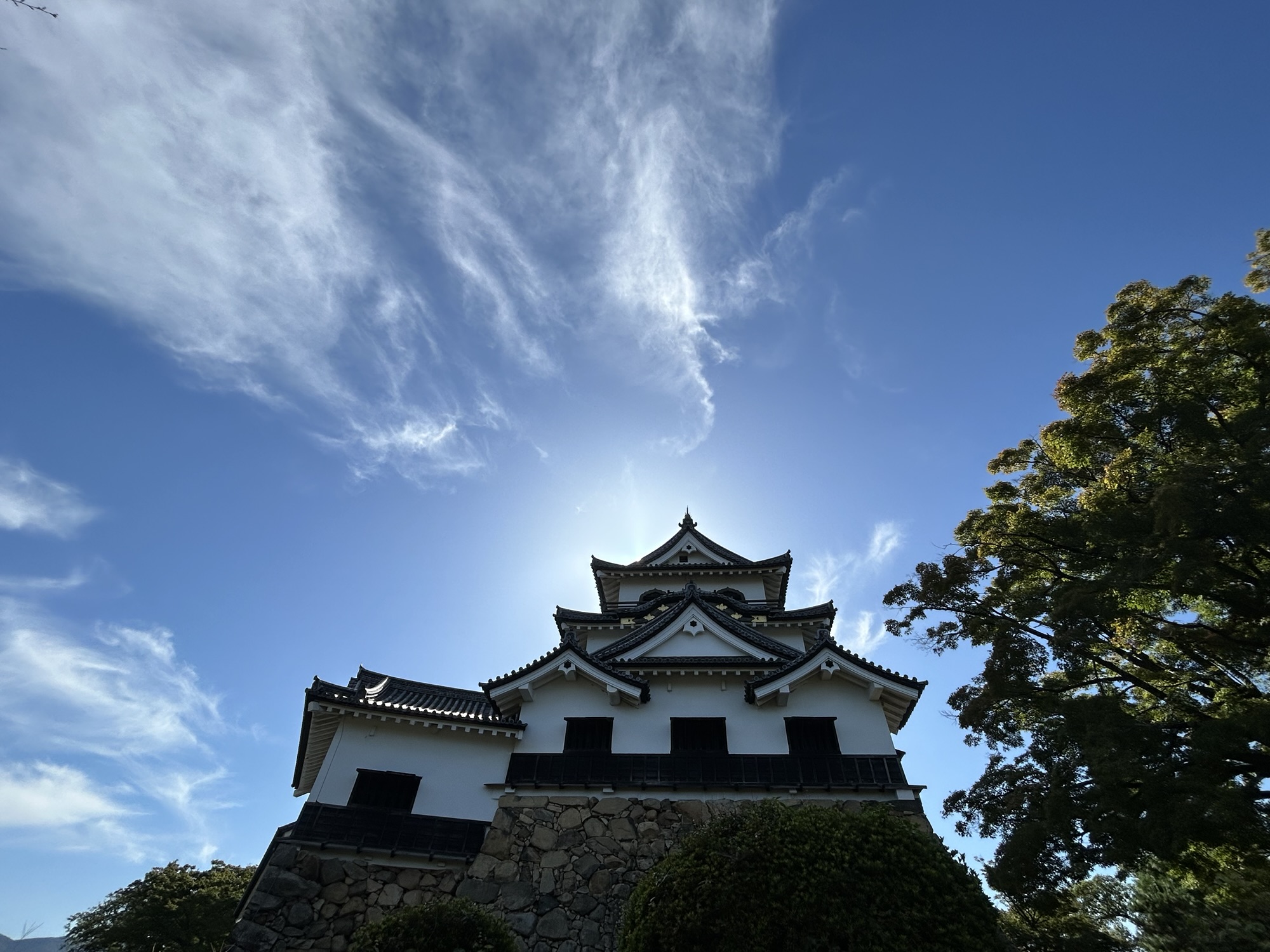 彦根城の天守