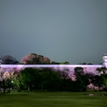 Thumbnail of post image 033