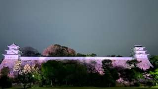 Thumbnail of post image 146
