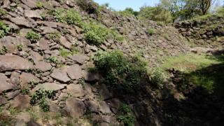 Thumbnail of post image 072