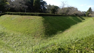 Thumbnail of post image 026