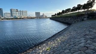 Thumbnail of post image 039