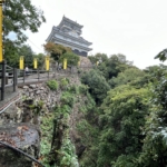 Thumbnail of post image 170
