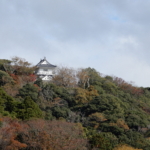 Thumbnail of post image 154