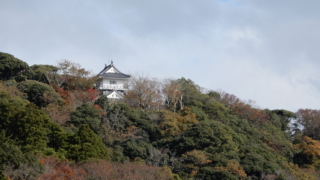 Thumbnail of post image 130