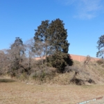 Thumbnail of post image 010