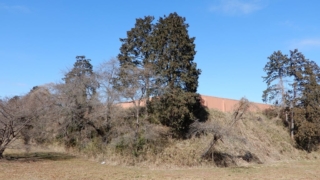 Thumbnail of post image 101