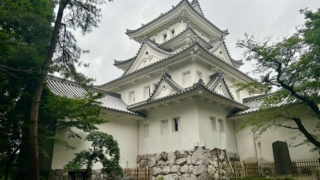 Thumbnail of post image 044