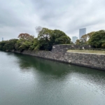 Thumbnail of post image 081