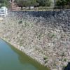 Thumbnail of related posts 022