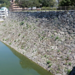 Thumbnail of post image 075