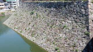 Thumbnail of post image 042