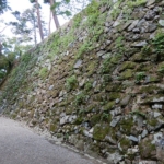 Thumbnail of post image 072