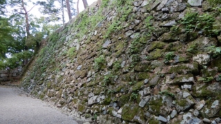 Thumbnail of post image 013