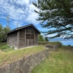 Thumbnail of post image 187