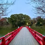 Thumbnail of post image 118