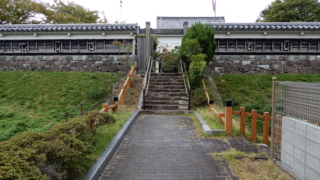 Thumbnail of post image 184