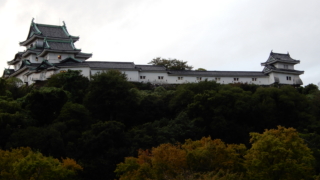 Thumbnail of post image 014