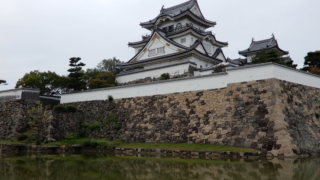 Thumbnail of post image 135