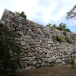 Thumbnail of post image 196