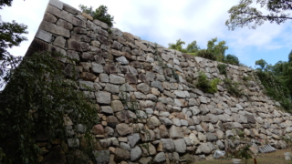 Thumbnail of post image 181